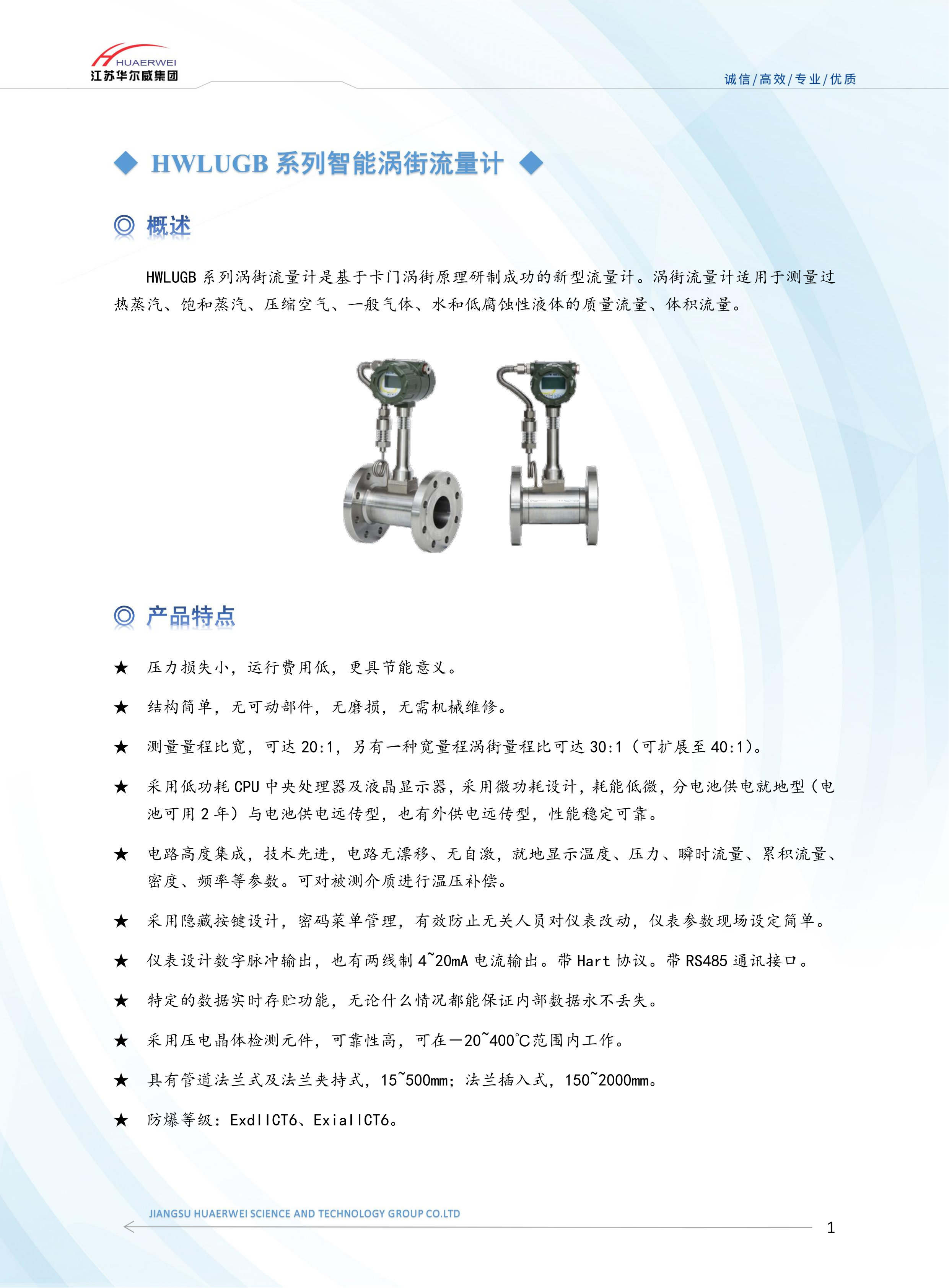 涡街流量计(图1)