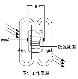 插入式电磁流量计(图1)